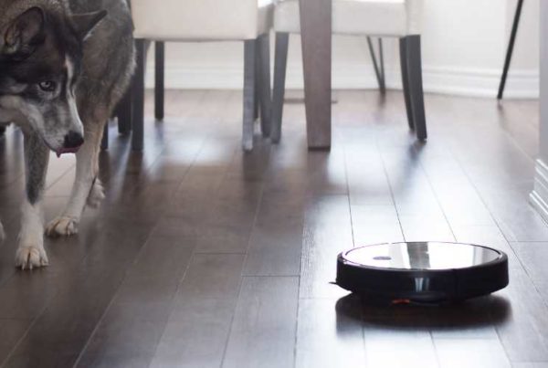 Un chien qui est curieux devant un robot aspirateur appartement