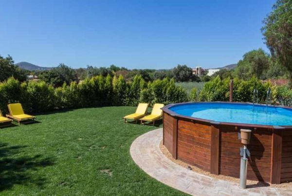 modèle de Piscine hors sol en bois dans un jardin