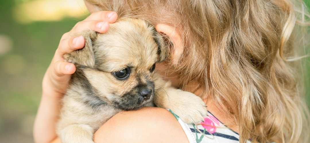 Gérer arrivée chiot avec enfant