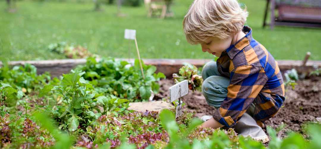 Créer un petit potager pour les enfants