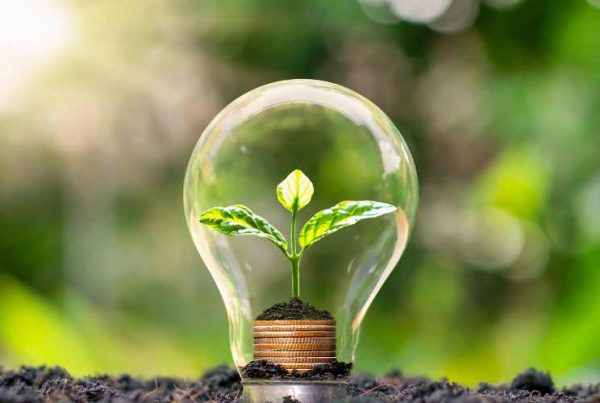 Changer de fournisseur d'énergie pour de l'énergie verte