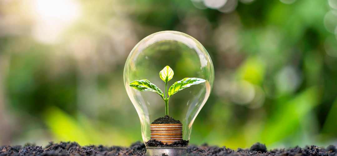 Changer de fournisseur d'énergie pour de l'énergie verte